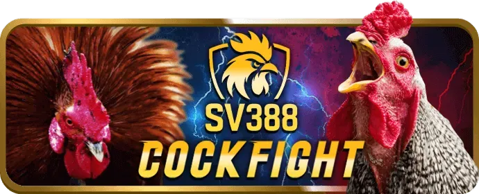 Dịch vụ cá nhân hóa Kingbet 86